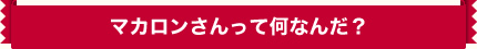 マカロンさんって何なんだ？